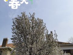 景点-天津五大道文化旅游区