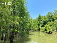 -青龙山国家森林公园
