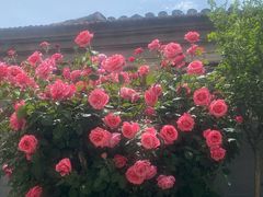 -北京第二实验小学