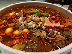 老家难忘毛血旺-老家水饺濮阳菜(巴黎街店)