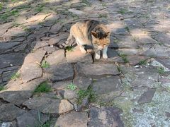 -雨花胜境