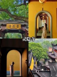 -深圳艺星医疗美容医院