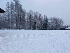 -二世古滑雪场
