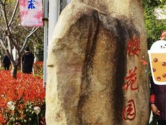 -高东镇樱花园