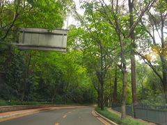 -南国桃园旅游度假区