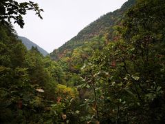 -秦岭风景区