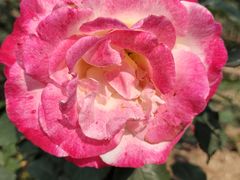 -人民公园(罗湖区)