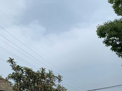 -塘栖枇杷特色园区