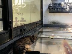 -猫的天空之城概念书店(杭州南宋御街店)