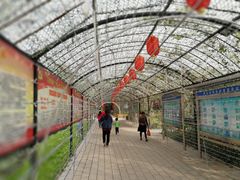 -草根堂农场