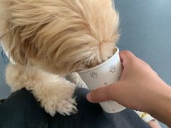 -爱侣宠医·鹦鹉专科·小型哺乳类·异宠专科(灵石路店)