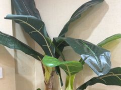 -凯平棋牌会所(永惠大厦店)