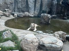 -北京野生动物园