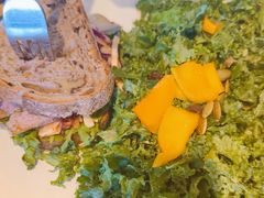 -Wagas沃歌斯(汇智店)