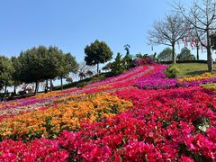 -东莞植物园
