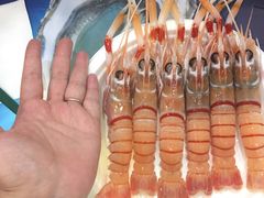 -HIHE Bistro·Oyster Bar(华熙live店)