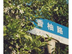 -上海长兴岛郊野公园