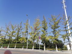 -长白岛森林公园