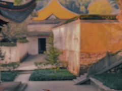 -阿育王寺