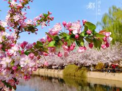 -元大都城垣遗址公园