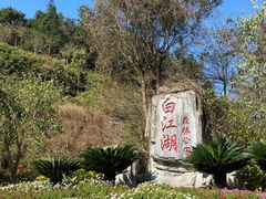 -广州白江湖森林公园