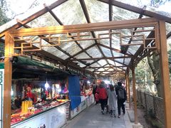 -普陀山风景区-佛顶山
