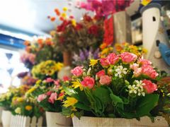 -桂林市花鸟市场