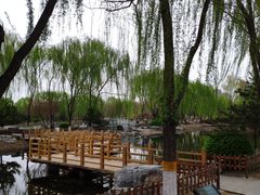 -东升八家郊野公园