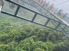 -呀诺达热带雨林