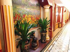 -金凤凰健康养生·足疗·推拿·SPA(横岗店)