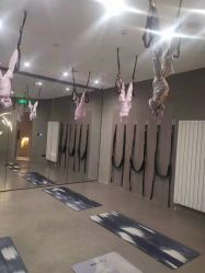 -Halo FLY运动空间