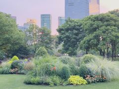 -陆家嘴中心绿地