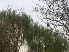 -西安青龙寺遗址景区