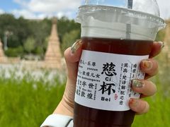 -敦煌莫高窟