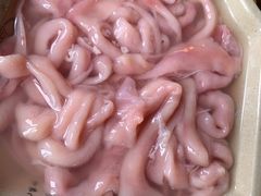 -九尺赵老四鲜鹅肠火锅
