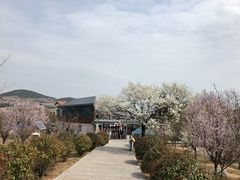 -崂山仰口游览区