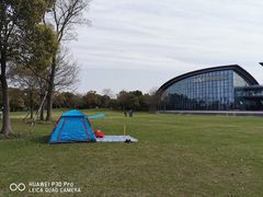 -吴淞炮台湾湿地森林公园烧烤区