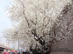 -雍和宫(地铁站)