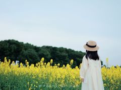 -中国天府农业博览园