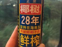 -海口东站