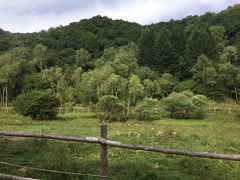 -大水川景区