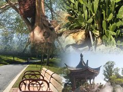 -东莞植物园