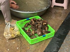 -山菌美食苑(振兴路店)