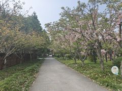 -东平国家森林公园