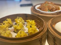-点都德·毕德寮