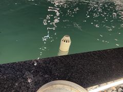 -DGE季风钓虾营地·团建·聚会
