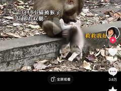 -昆明动物园