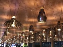 -贾特拉帕蒂·希瓦吉国际机场