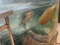 -聚鑫阁江浙菜·非遗传承技艺(青村帝华园店)
