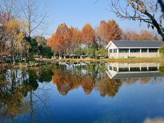 -金银湖国家城市湿地公园